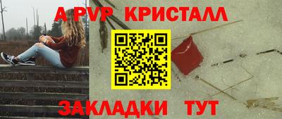 спиды Аргун