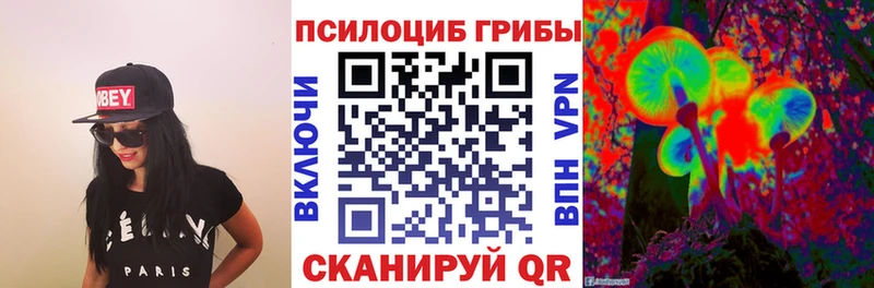 Галлюциногенные грибы Psilocybine cubensis  Кропоткин 