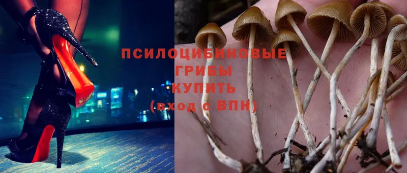 Галлюциногенные грибы MAGIC MUSHROOMS  Кропоткин 