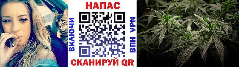 МАРИХУАНА гибрид  Кропоткин 